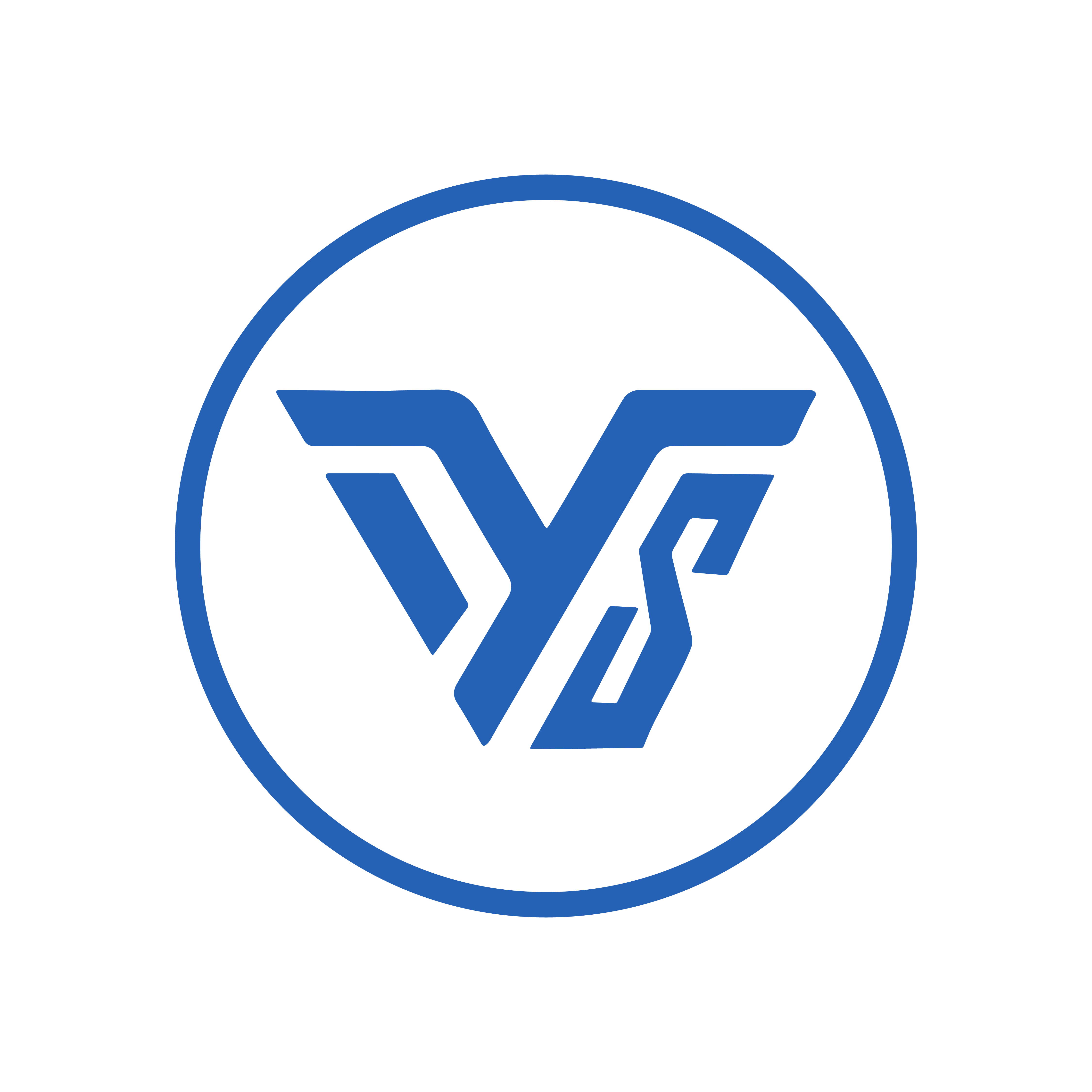 DYS Computer Logo